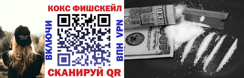 Где продают наркотики Ноябрьск Cocaine  A PVP  ГАШ  Меф мяу мяу 