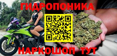 спайс Абакан