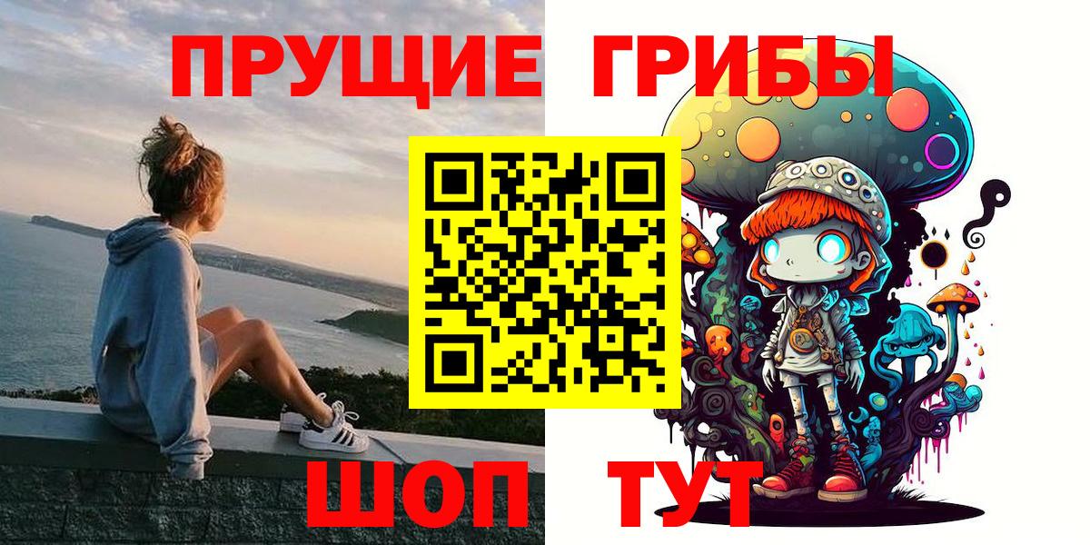 Галлюциногенные грибы Psilocybe  Ноябрьск  Псилоцибиновые грибы прущие грибы 