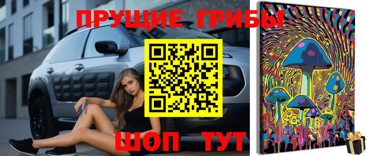Псилоцибиновые грибы GOLDEN TEACHER  где можно купить   Ноябрьск  Вход с VPN 
